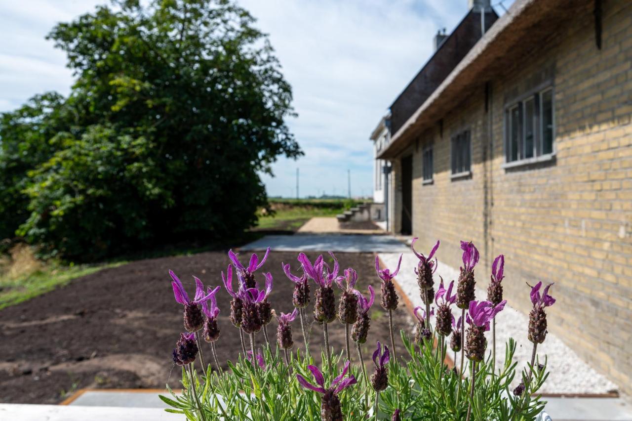 Appartement De Dageraad In Monumentale Boerderij Kimswerd Esterno foto