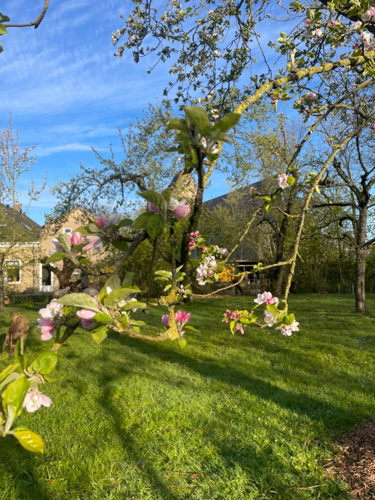 Appartement De Dageraad In Monumentale Boerderij Kimswerd Esterno foto