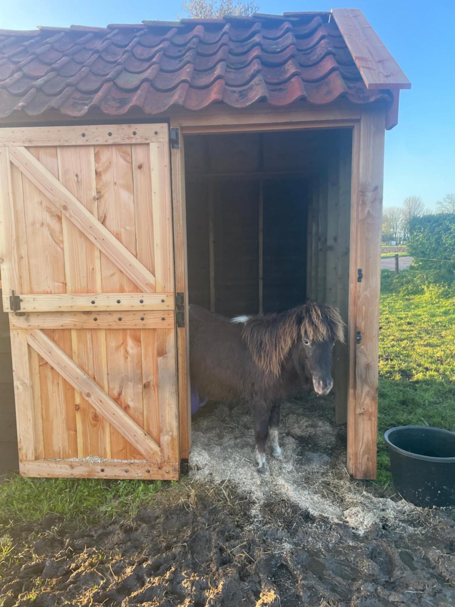 Appartement De Dageraad In Monumentale Boerderij Kimswerd Esterno foto
